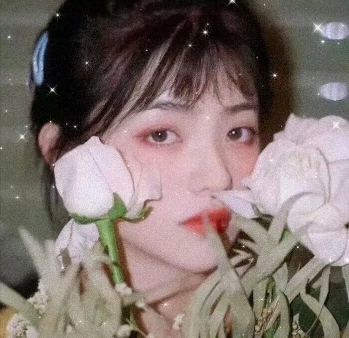 红鲨突击