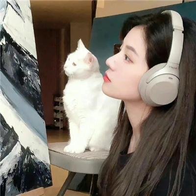 金装律师第二季